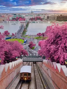 a train traveling down tracks next to a lush green forest filled with purple flowers and trees