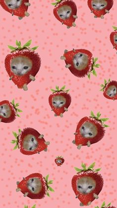 an animal with strawberries on a pink background