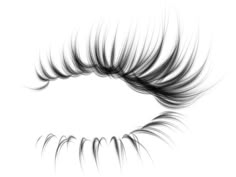 an eye with long lashes on it's side and the bottom part of its eyelashes