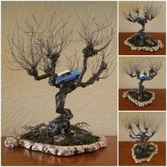 there is a bonsai tree with cars on it and four pictures of the same tree