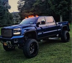 a large blue truck parked on top of a lush green field with trees in the background