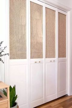 a room with white walls and wooden flooring next to a plant in a pot