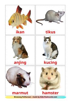 an animal and other animals that are in the same picture, with different words on them