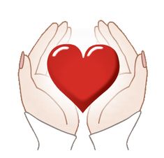 two hands holding a red heart in the shape of a heart