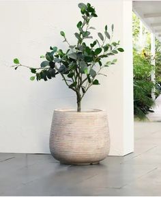 Patio Garden, Bed Bath And Beyond, Planter Pots, Home And Garden, Patio, Stone, Patios