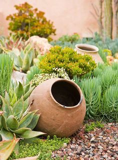 a garden filled with lots of different types of plants