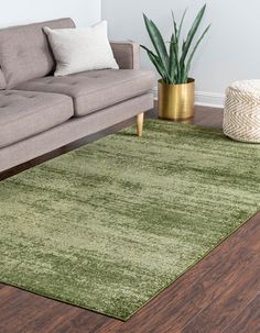 a living room area with a couch, rug and potted plant on the floor