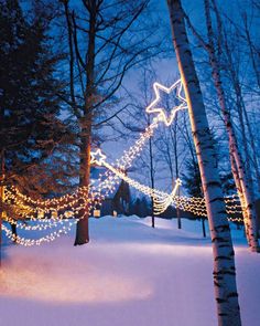 christmas lights are hanging from the trees and in the snow, along with an ornament