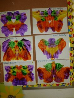 four butterfly pictures are displayed on a bulletin board