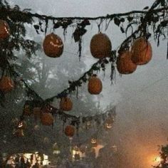 pumpkins are hanging from a tree in the fog