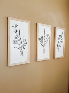 three framed flowers are hanging on the wall