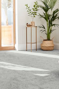 a living room with a potted plant next to a small table on the floor