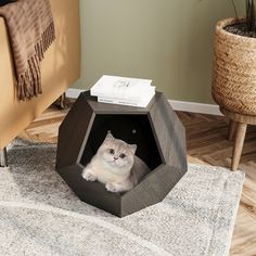 a cat is sitting in an octagonal shaped pet house on the floor next to a chair