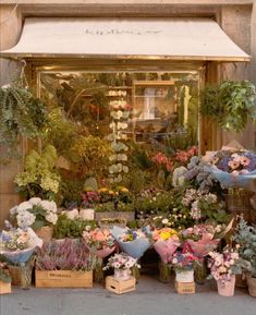 a bunch of flowers that are sitting in front of a store