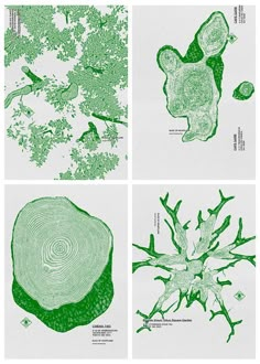 four different types of trees are shown in green and white paper with the same tree's leaves