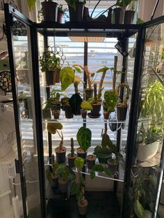 a display case filled with lots of potted plants