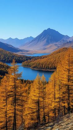 a lake surrounded by trees with mountains in the background