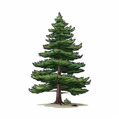 4K Pine Tree Clipart in Minimalist Art Style: Vector & SVG Pine Tree Print, Elevation Illustration, Painted Pine Trees, Pine Tree Clipart, Confectionery Design, Cute Easy Paintings, Icing Design, Digital Banners, Tree Clipart