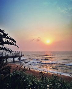 the sun is setting over the ocean with palm trees in foreground and a pier on the beach to the right