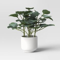 a potted plant with green leaves in it