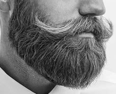 Beard Or No Beard, Bart Styles, Beard And Mustache Styles, Long Beard Styles, Man With A Beard, Long Beard, Mustache Styles, Mens Facial Hair Styles