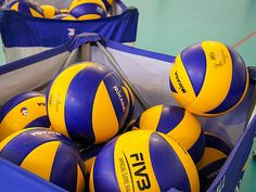 several yellow and blue volleyballs in a plastic container