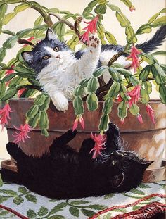 two cats playing in a potted plant with pink flowers on the top and bottom