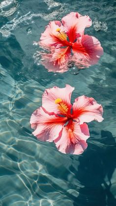 two pink flowers floating on top of the water in a pool with ripples around them