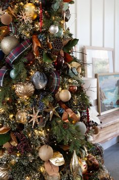 a decorated christmas tree in a living room with ornaments on the top and bottom branches