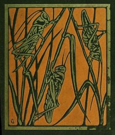 an orange and green book cover with black writing on the front, featuring two bugs