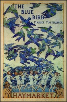 the blue birds cover art for haymarket