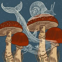 an image of three mushrooms in the grass