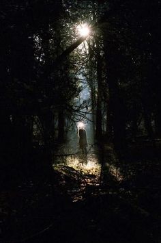 a person standing in the middle of a forest at night with light shining through trees