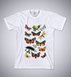 EUROPEAN BUTTERFLIES Illustration shirt, Camping Shirt, Butterflies print, Butterfly shirt, Papillon vintage graphic, Butterfly t-shirt Graphic Butterfly, Butterflies Illustration, Vintage Butterflies, Butterfly T Shirt, Print Butterfly, Nature Vintage, Butterfly Illustration