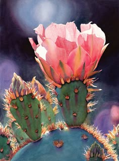 two pink flowers are on top of a green cactus in the desert, with dark sky behind them