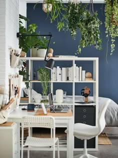 an office with plants hanging from the ceiling and a desk in front of a bed