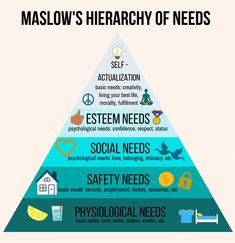 the maslow's hierarchy of needs