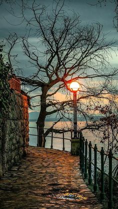 a street light sitting on the side of a road next to a body of water