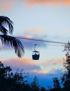 the sky is pink and blue with some clouds in the background, as a cable car sits above trees