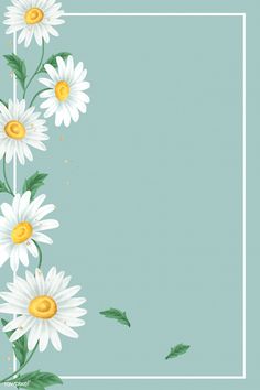 white daisies with green leaves and gold dots in the center on a blue background