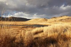 an open field with water and mountains in the background