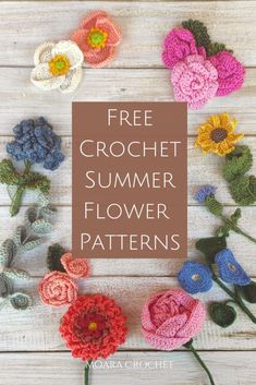 crochet flowers with the text free crochet summer flower patterns on it