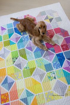 a brown dog laying on top of a colorful quilt