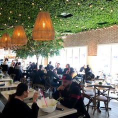 people sitting at tables in a restaurant with plants growing on the ceiling and hanging lights above them