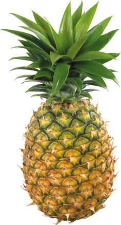 a pineapple is shown on a white background