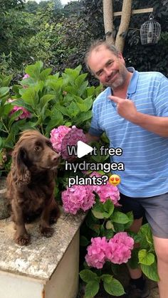 a man standing next to a brown dog on top of a cement planter filled with flowers