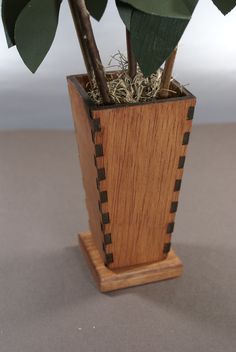 a plant in a wooden vase with green leaves on the top and roots sticking out of it