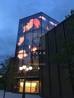 an illuminated building with leaves on it