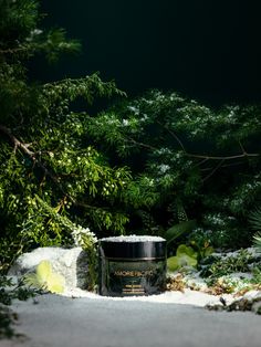 a jar of snow sits on the ground in front of some trees and bushes, surrounded by snow