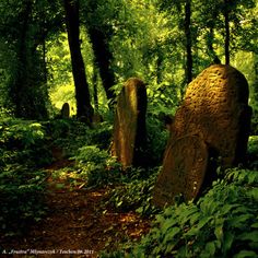 two large rocks in the middle of a forest